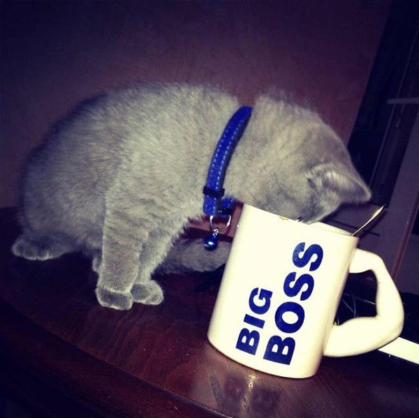 Евгений Потапов