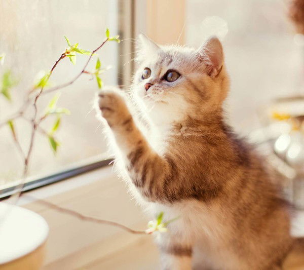 Валентина Ковалюк