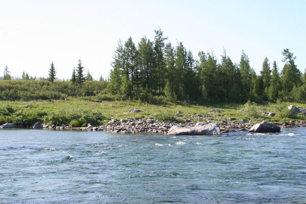 Лариса Прокопьева