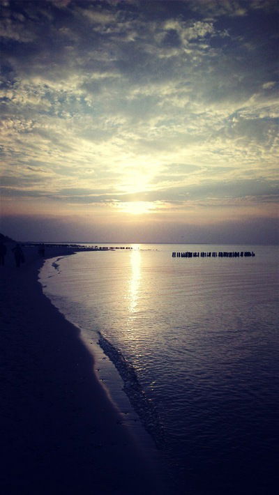 Света Холмогорова