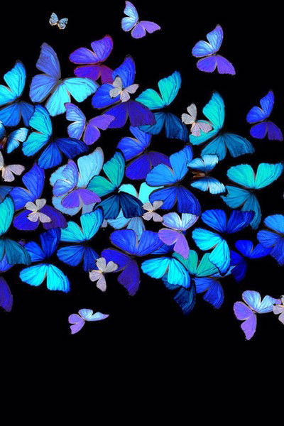 Ольга Выродова