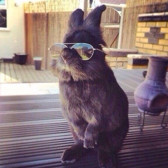 Елена Балина