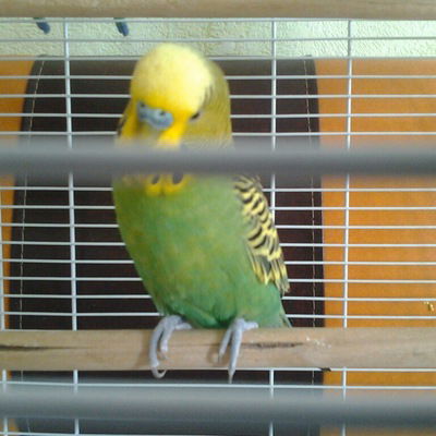 Данил Альбертович