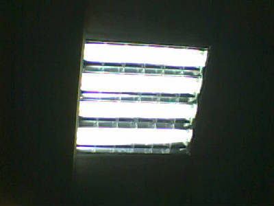 Сергей Шошин