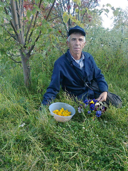 Александр Дворянидов