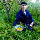 Александр Дворянидов