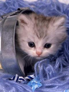 Ольга Быкова