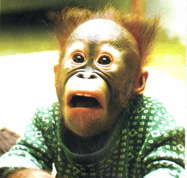 Михаил Капустин