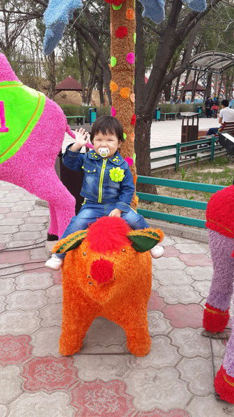 Дана Орынбекова