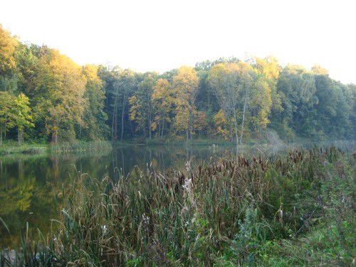 Астахова Татьяна