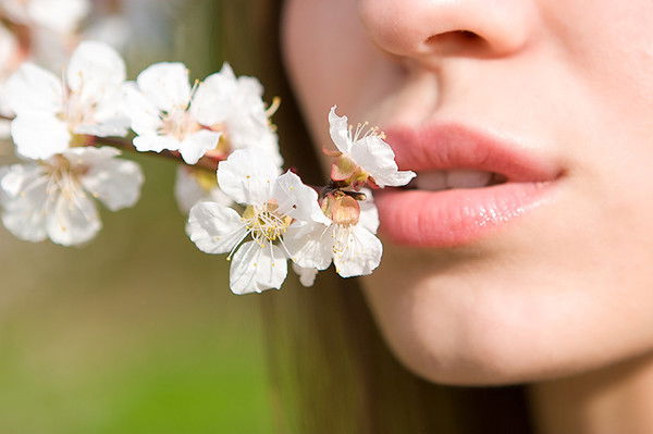 Светлана Сокольская