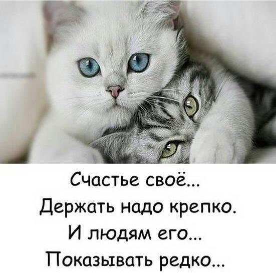 Юлия Ортнер