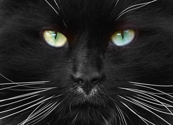 Евгения Матвеева