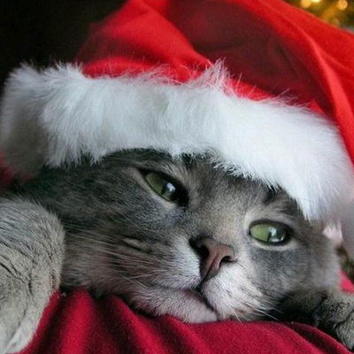 Надежда Нуриева-Астальцева