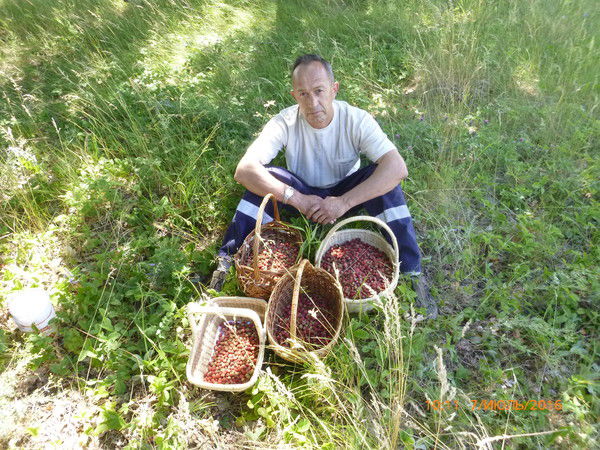 Сергей Варламов