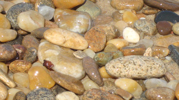 Вера Пересторонина