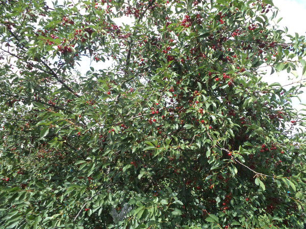 Татьяна *********