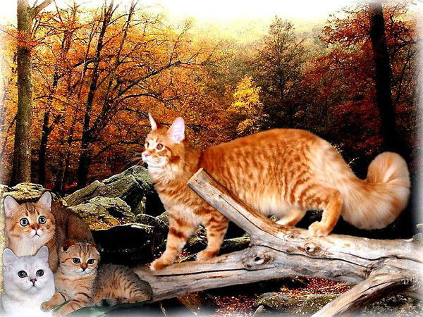 Анна И Даша Дятчины