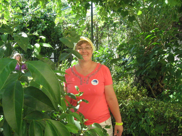 Елена Демидова