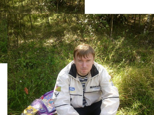 Дмитрий Минеев