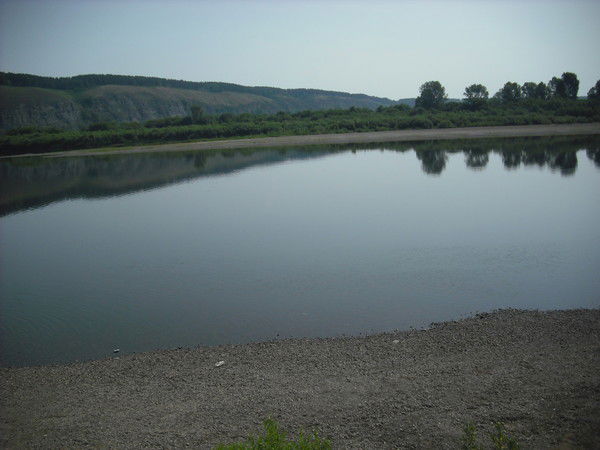 Елена Елена