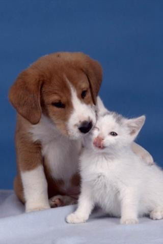 Саша Шуёнков