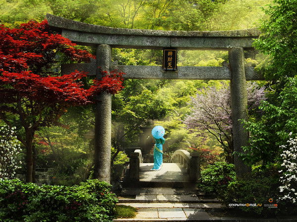 Наталья Федорова