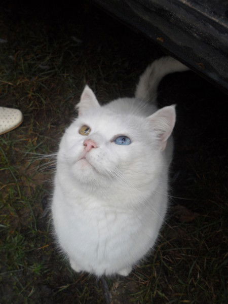 Татьяна Отраднова