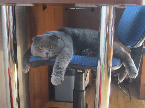 Дмитрий Васюченко