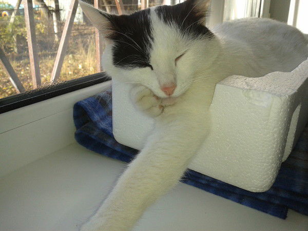 Сергей Меньшиков