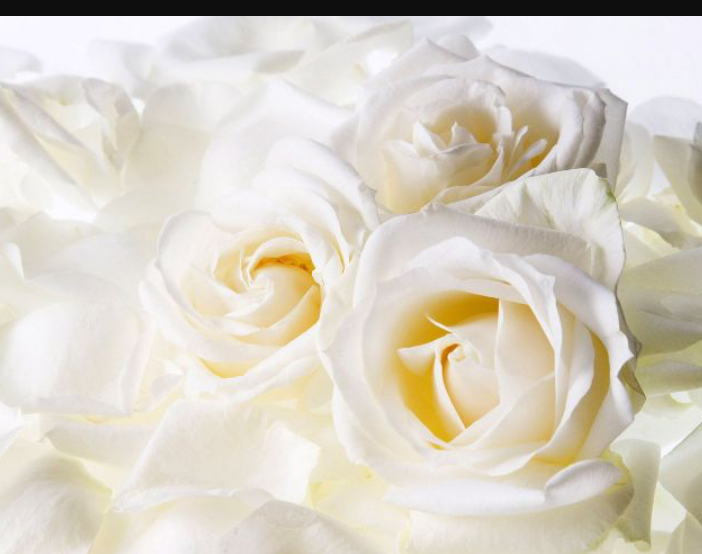 Жансая Амангельдиева