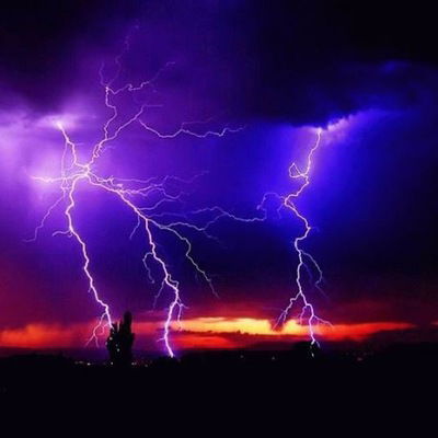 Вадим Панфилов