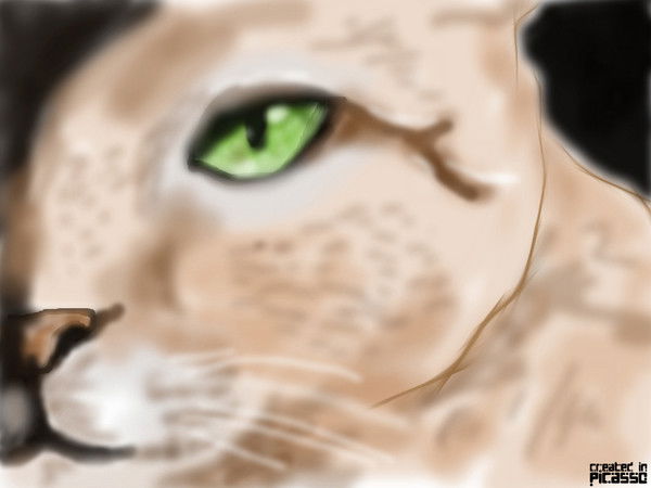 Екатерина Наумова