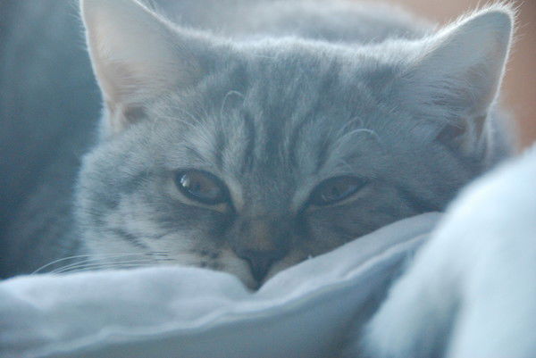 Татьяна Сахипова