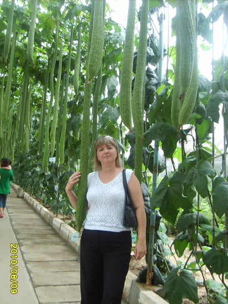 Наталья Делюкова