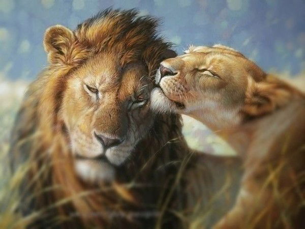 Татьяна Соловьева