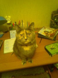 Коля Добровольский