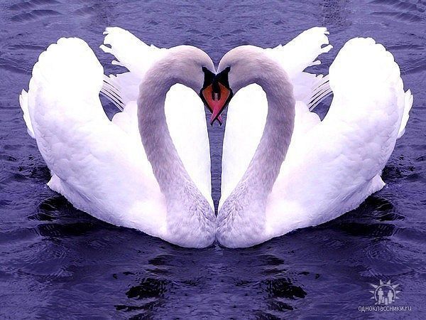 Лия Нагаева