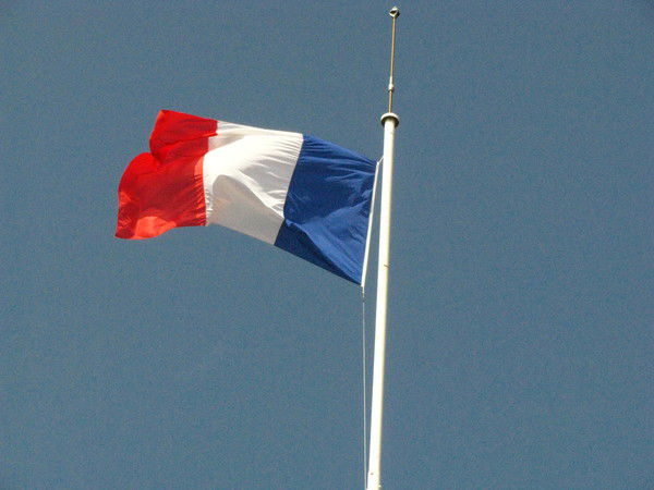 Елена Воробьева