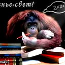 Петр Джумаев