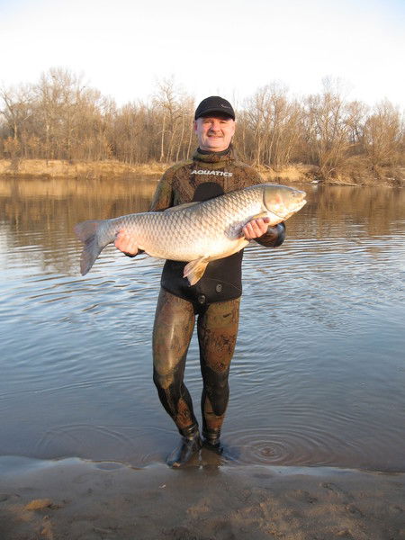 Сергей Пестрецов