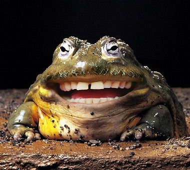 Валерий Фомин