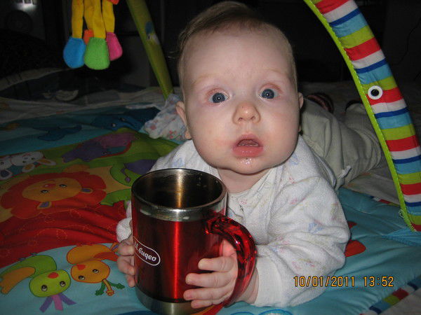 Владимир Лощаков