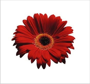 Денис Федин