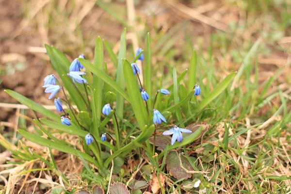 Ольга Зиновьева
