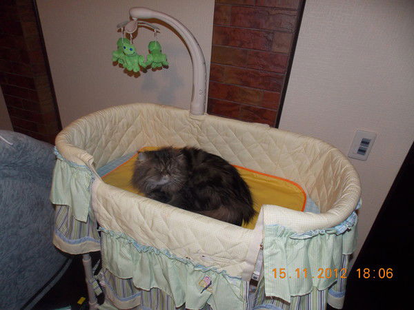 Ирина Володькина