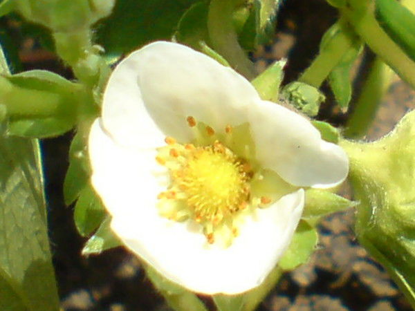 Валерий Талдыкин