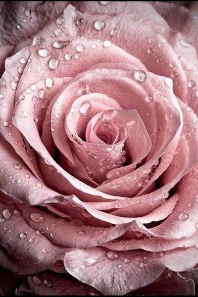 Екатерина Антошкина