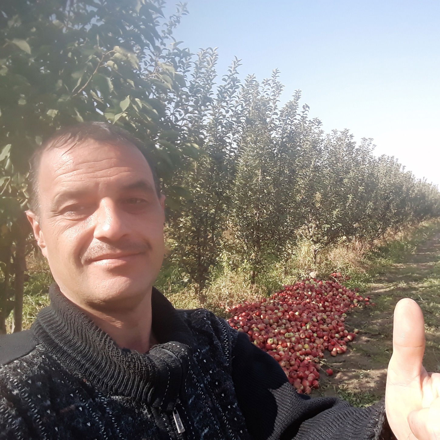 Алексей Онищенко