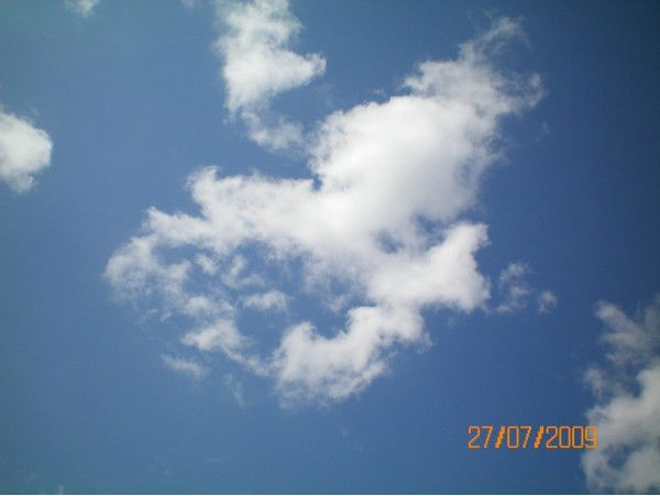 Юля Сковородько